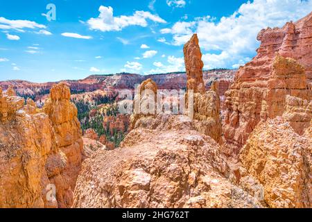 Der Blick über den Hoodoos und die orangen Felsformationen des Bryce Canyon National Park in Utah, Queens Garden, führt auf dem Navajo Loop Trail Stockfoto