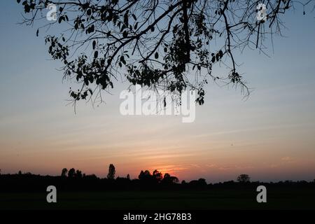 Nakhon Sawan, Thailand. 18th Januar 2022. Ein Sonnenuntergang über einem Reisfeld in der Provinz Nakhon Sawan, nördlich von Bangkok. Kredit: SOPA Images Limited/Alamy Live Nachrichten Stockfoto