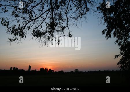 Nakhon Sawan, Thailand. 18th Januar 2022. Ein Sonnenuntergang über einem Reisfeld in der Provinz Nakhon Sawan, nördlich von Bangkok. (Foto von Chaiwat Subprasom/SOPA Images/Sipa USA) Quelle: SIPA USA/Alamy Live News Stockfoto