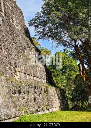 Nationalpark Tikal, Guatemala Stockfoto