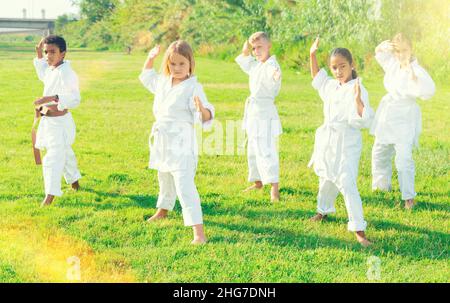 Multirassische Gruppe von Jugendlichen Kindern, die Karate im Sommerpark praktizieren Stockfoto