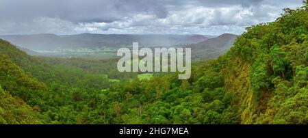 Der Blick über das Obi Obi Valley und das üppige Regenwalddach sind Höhepunkte für Besucher dieses kleinen, aber bedeutenden Restwaldes. Stockfoto