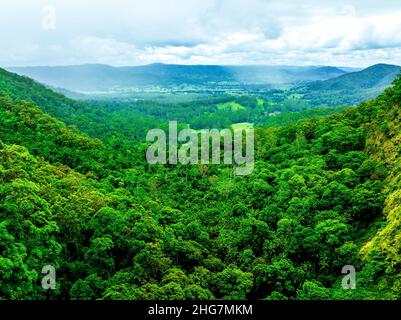 Der Blick über das Obi Obi Valley und das üppige Regenwalddach sind Höhepunkte für Besucher dieses kleinen, aber bedeutenden Restwaldes. Stockfoto