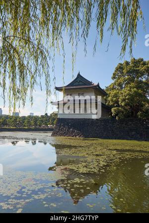 Der Kikyo-bori-Graben wuchs mit Wasserpflanzen um das Tokyo herum Außenwand des Kaiserpalastes mit der Edojo Sakurada Tatsumi Yagura Wachturm am Stockfoto