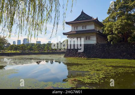 Der Kikyo-bori-Graben wuchs mit Wasserpflanzen um das Tokyo herum Außenwand des Kaiserpalastes mit der Edojo Sakurada Tatsumi Yagura Wachturm am Stockfoto