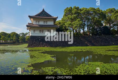 Der Kikyo-bori-Graben wuchs mit Wasserpflanzen um das Tokyo herum Außenwand des Kaiserpalastes mit der Edojo Sakurada Tatsumi Yagura Wachturm am Stockfoto