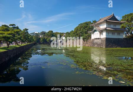 Der Kikyo-bori-Graben wuchs mit Wasserpflanzen um das Tokyo herum Außenwand des Kaiserpalastes mit der Edojo Sakurada Tatsumi Yagura Wachturm am Stockfoto