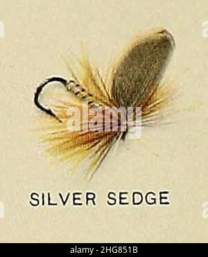 Silver Sedge, von Forellenfliegenfischen in Amerika (6309074584). Stockfoto