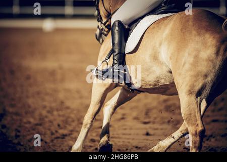 Pferdesport. Das Bein des Reiters im Steigbügel, Reiten auf einem Pferd. Nahaufnahme des Steigbügels. Dressur der Pferde in der Arena. Reiten. Stockfoto