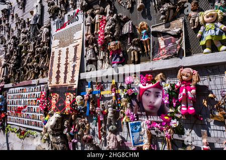 The Wall of the Dolls, il Muro delle Bambole, eine Kunstinstallation, die das Bewusstsein für Gewalt gegen Frauen schärft. Stockfoto