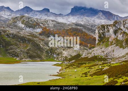 Berglandschaft in Asturien. Covadonga Seen. Picos de Europa. Spanien Stockfoto