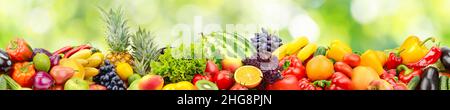 Nahtloses horizontales Muster frisches und saftiges Gemüse, Obst und Beeren auf grünem Hintergrund. Stockfoto