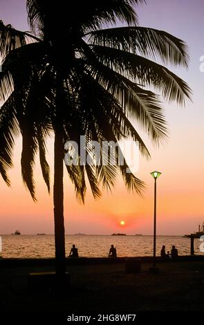 Sonnenuntergang an der Bucht von Manila auf den Philippinen. Die Bucht ist eine der beliebtesten Attraktionen für Einheimische und Touristen in Manila und international bekannt für ihre lebhaften Farben bei Sonnenuntergang. Auf dem Bild: Eine Palme, die gegen den Sonnenuntergang auf der Promenade von Manila Bay geschildert wurde. Stockfoto