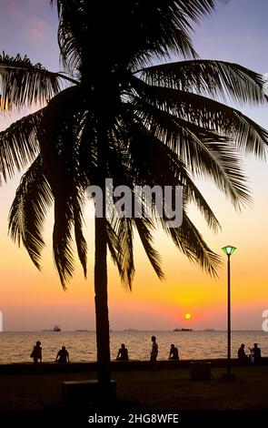 Sonnenuntergang an der Bucht von Manila auf den Philippinen. Die Bucht ist eine der beliebtesten Attraktionen für Einheimische und Touristen in Manila und international bekannt für ihre lebhaften Farben bei Sonnenuntergang. Auf dem Bild: Eine Palme, die gegen den Sonnenuntergang auf der Promenade von Manila Bay geschildert wurde. Stockfoto