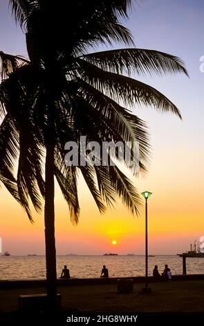 Sonnenuntergang an der Bucht von Manila auf den Philippinen. Die Bucht ist eine der beliebtesten Attraktionen für Einheimische und Touristen in Manila und international bekannt für ihre lebhaften Farben bei Sonnenuntergang. Auf dem Bild: Eine Palme, die gegen den Sonnenuntergang auf der Promenade von Manila Bay geschildert wurde. Stockfoto