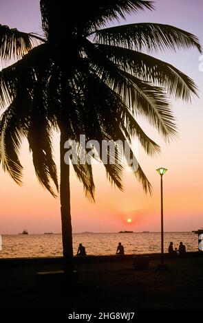 Sonnenuntergang an der Bucht von Manila auf den Philippinen. Die Bucht ist eine der beliebtesten Attraktionen für Einheimische und Touristen in Manila und international bekannt für ihre lebhaften Farben bei Sonnenuntergang. Auf dem Bild: Eine Palme, die gegen den Sonnenuntergang auf der Promenade von Manila Bay geschildert wurde. Stockfoto