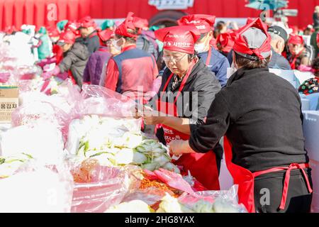 Nov 02, 2018-Südkorea, Seoul-Freiwillige nehmen an einem Make Kimchi Teil, einem koreanischen Hauptgericht aus fermentiertem Gemüse, das für bedürftige Nachbarn zur Vorbereitung auf die Wintersaison während des Seoul Kimchi Festivals auf dem Seoul Plaza in Seoul, Südkorea, gespendet wird. Tausende von Menschen werden während des Festivals, das vom 2. Bis 4. November stattfindet, Kimchi mit 165 Tonnen Kohl herstellen. Stockfoto