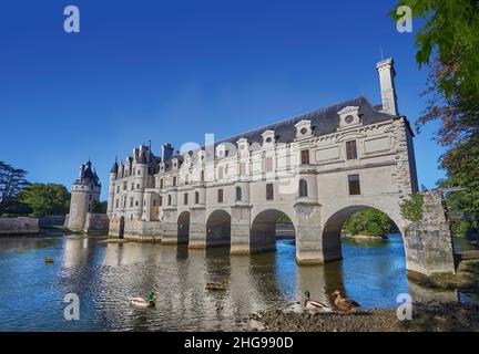 Das Renaissance Chateau de Chenonceau, das den Fluss Cher, Indre-et-Loire, umspannt, wurde 1514–1522 erbaut. Die Brücke über den Fluss wurde (1556-1559) zu gebaut Stockfoto