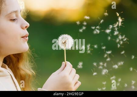 Mädchen weht Dandelion. Im Frühling Park. Medizinisches, gesundes Konzept. Stockfoto