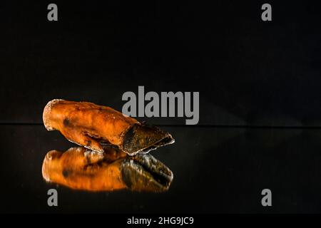 Verschiedene Arten von Zutaten und Würstchen von Hand hergestellt. Stockfoto