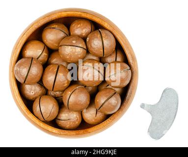 Macadamianüsse mit gesägten Nussschalen in einer Holzschale und mit Öffnungschlüssel. Gruppe von getrockneten, ungeschälten Nüssen, bekannt als Queensland-, Busch- und Maroochi-Nüsse. Stockfoto