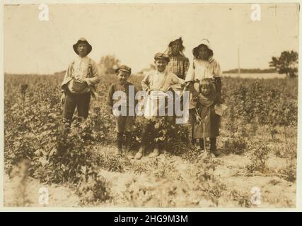 Familie Smbzak (polnisch) arbeitet auf der bot(t)omley Farm in der Nähe von Baltimore, MD. Sie haben hier 3 Jahre und einen Winter lang auf Avery Island, Louisiana, gearbeitet. Alle funktionieren bis auf die kleinsten. Sie hängt Stockfoto