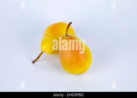 Isolierte Birnen. Ganze, halbe und ein Stück Birnenfrucht mit Blatt isoliert auf weißem Hintergrund mit Schneideweg Stockfoto