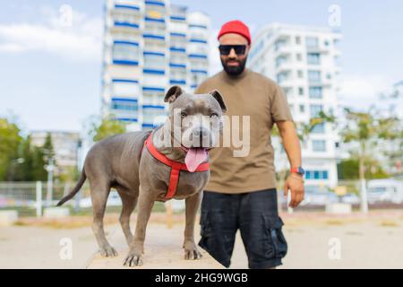 Porträt eines glücklichen Mannes in rotem Hut und Sonnenbrille mit amerikanischem Terrier in Hunde Walking Area Park in sity Stockfoto