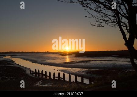 Sonnenuntergang, Dämmerung, über Pagham Harbour von der Nordwand aus gesehen, Gezeiten, Winter, Landschaft mit Silhouette von Bäumen und Pfosten, Sussex, Großbritannien Stockfoto