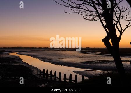 Sonnenuntergang, Dämmerung, über Pagham Harbour von der Nordwand neben Salthouse, White's Creek, Gezeiten, Winter, Silhouetten von Bäumen und Pfosten. Stockfoto