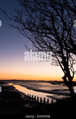 Sonnenuntergang, Dämmerung, über Pagham Harbour von der Nordwand neben Salthouse, White's Creek, Gezeiten, Winter, Silhouetten von Bäumen und Pfosten. Stockfoto