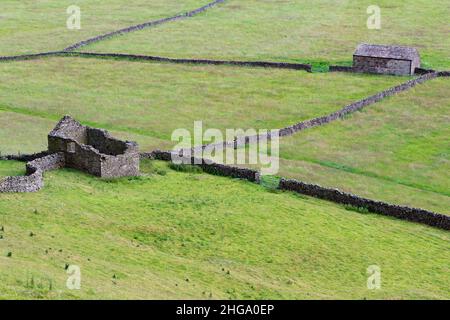 Trockenmauern, Steinscheunen und grüne Felder in den Yorkshire Dales, England, Großbritannien Stockfoto