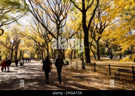 Central Park with glorious fall foliage, New York, USA Stockfoto