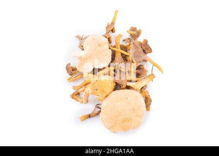 Pilze auf einem weißen Hintergrund isoliert Stockfoto