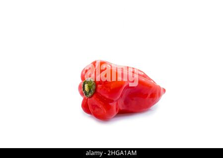 Paprika isoliert auf weißem Hintergrund Stockfoto