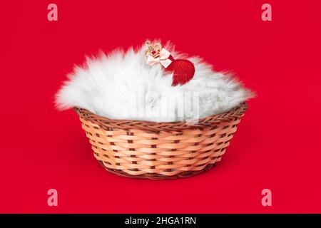 Niedliches Kätzchen mit rotem Herz. Valentinstag, roter Hintergrund. Liebe, 14th. Februar Postkarte oder Grußkarten-Design. Britische Langhaar-Rasse Stockfoto