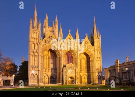 Peterborough Cathedral Peterborough Cathedral gotische Fassade bei Nacht Peterborough Cambridgeshire England GB Europa Stockfoto