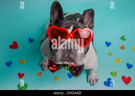 französische Bulldogge mit herzförmiger Sonnenbrille und Fliege, umgeben von bunten Herzen Stockfoto