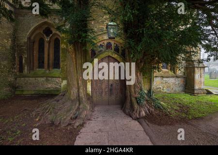 Eibenbäume flankieren den nördlichen Eingang zur St. Edward's Church in Stow-on-the-Wold, Gloucestershire, England Stockfoto