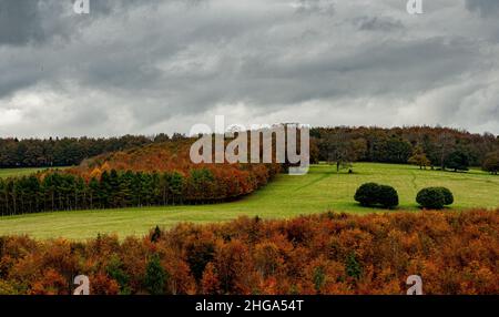 Ansichten Herbstfarben vom Grat ins Tal des Arundel Park, West Sussex im Herbst Stockfoto