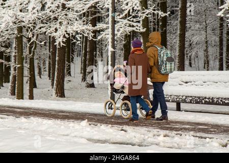 Eltern mit Kinderwagen und Kleinkind, die durch einen Winterpark schlendern. Minsk, Weißrussland Stockfoto