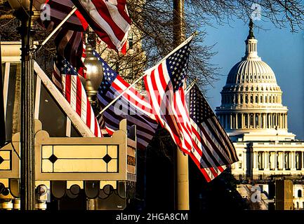 Amerikanische Flaggen vor dem US-Kapitolgebäude in Washington DC. Stockfoto