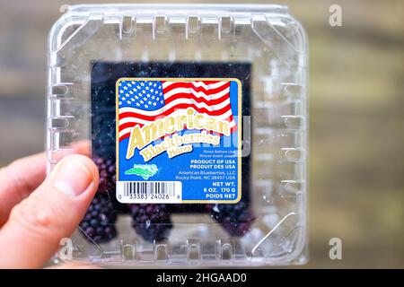 Banner Elk, USA - 12. Juni 2021: Handlager gekauft kleinen Brombeeren Beeren schwarzen Beeren Kunststoff-Container mit Schild-Etikett für Amerikaner angebaut und Stockfoto