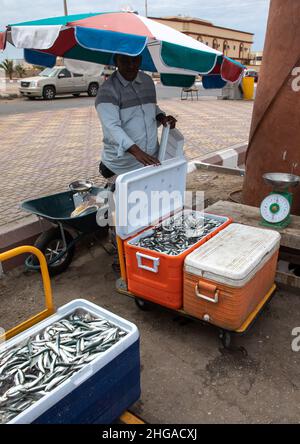 Farasani-Mann, der Sardinen auf dem Fischmarkt in der Provinz Jazan, Farasan, Saudi-Arabien verkauft Stockfoto