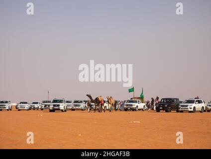 Saudische Männer folgen Kamelen mit ihren Autos während des King Abdul Aziz Camel Festivals, Provinz Riyadh, Rimah, Saudi-Arabien Stockfoto