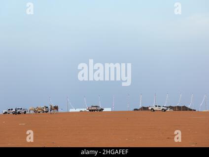 King Abdul Aziz Camel Festival, Provinz Riad, Rimah, Saudi-Arabien Stockfoto