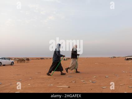 King Abdul Aziz Camel Festival, Provinz Riad, Rimah, Saudi-Arabien Stockfoto