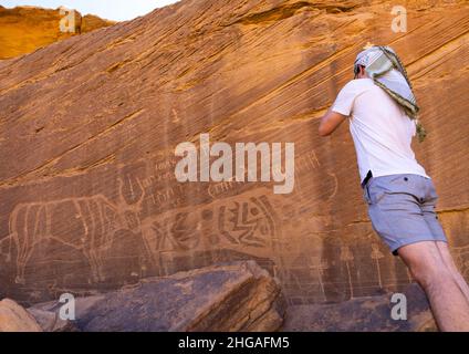 Petroglyphen auf einem Felsen, auf dem Kühe abgebildet sind, Provinz Najran, Thar, Saudi-Arabien Stockfoto