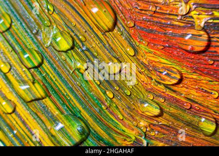 Farbenfrohe, bunte Farben sind mit Wassertropfen bedeckt. Mehrfarbige Abstraktion. Fantastische hypnotische Oberfläche. Nahaufnahme mit abstraktem Muster, Bewegung der flüssigen Farbstruktur mit Wassertropfen. Selektiver Fokus. Stockfoto