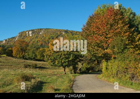 Blick auf hohe Wand von Dreistetten, Niederösterreich, Österreich, Europa Stockfoto